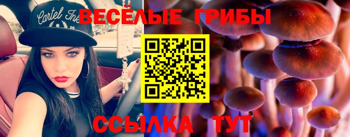 Псилоцибиновые грибы прущие грибы Нововоронеж